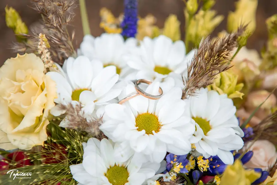 Svatební fotograf - Fotografie č. 30