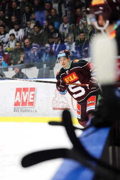Sportovní fotograf - Fotografie č. 7