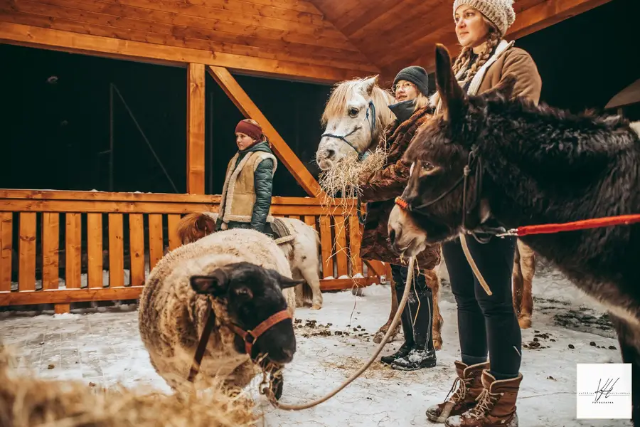 Focení eventů a akcí - Fotografie č. 5