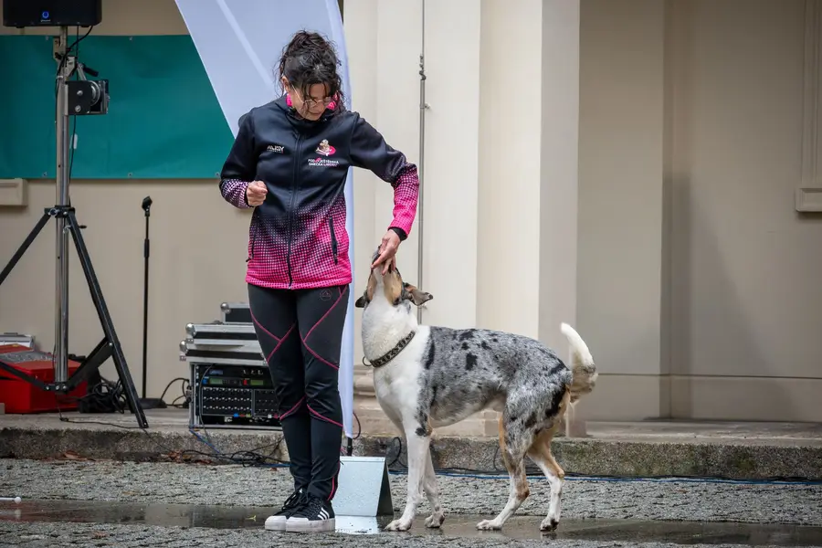 Focení eventů a akcí Lucie Duschková - Fotografie č. 5