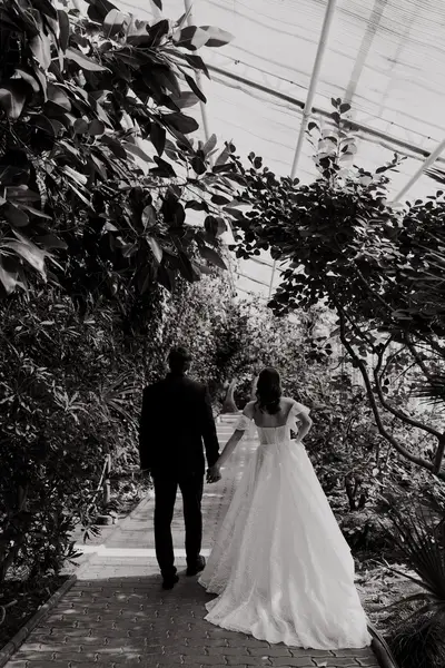 Svatební fotograf Monika Chaňo - Fotografie č. 3