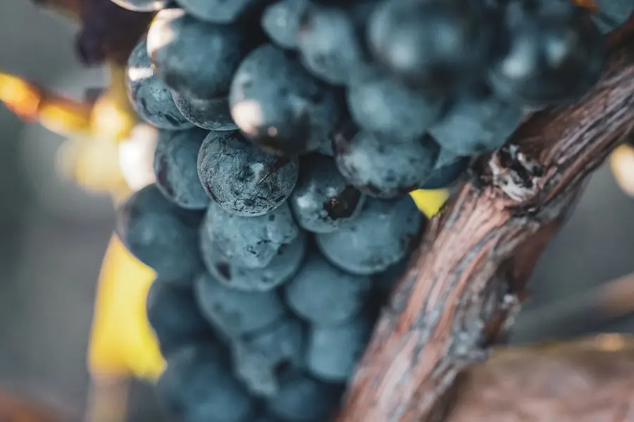 Reklamní fotograf - Fotografie č. 4