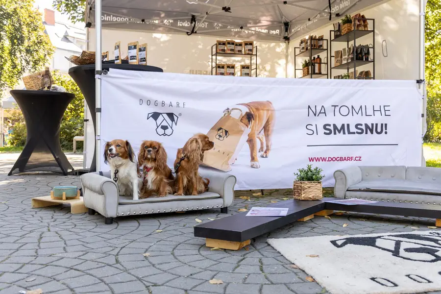 Focení zvířat - Fotografie č. 2