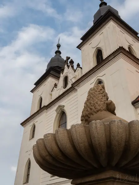 Business fotograf - Fotografie č. 13