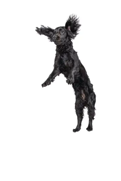 Produktový fotograf Šimon Kadula - Fotografie č. 1