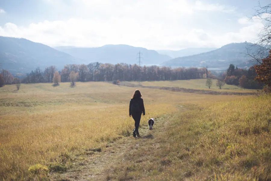 Zvířata a domácí mazlíčci - Fotografie č. 7