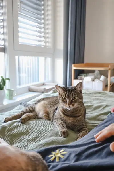 Focení zvířat - Fotografie č. 1