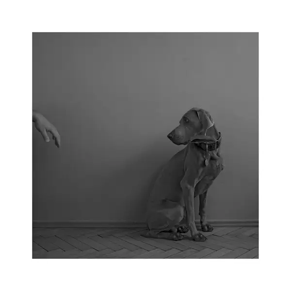 Focení zvířat - Fotografie č. 9