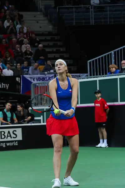 Sportovní fotograf - Fotografie č. 15