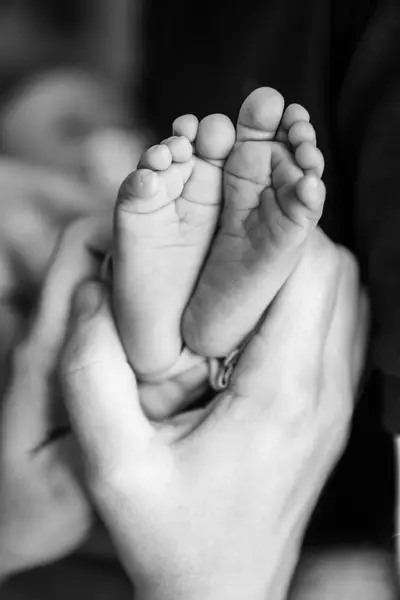Newborn focení Jitka Bublíková - Fotografie č. 7