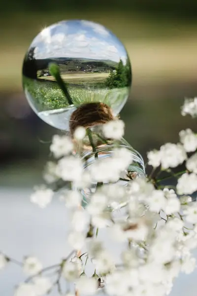 Svatební fotograf - Fotografie č. 12