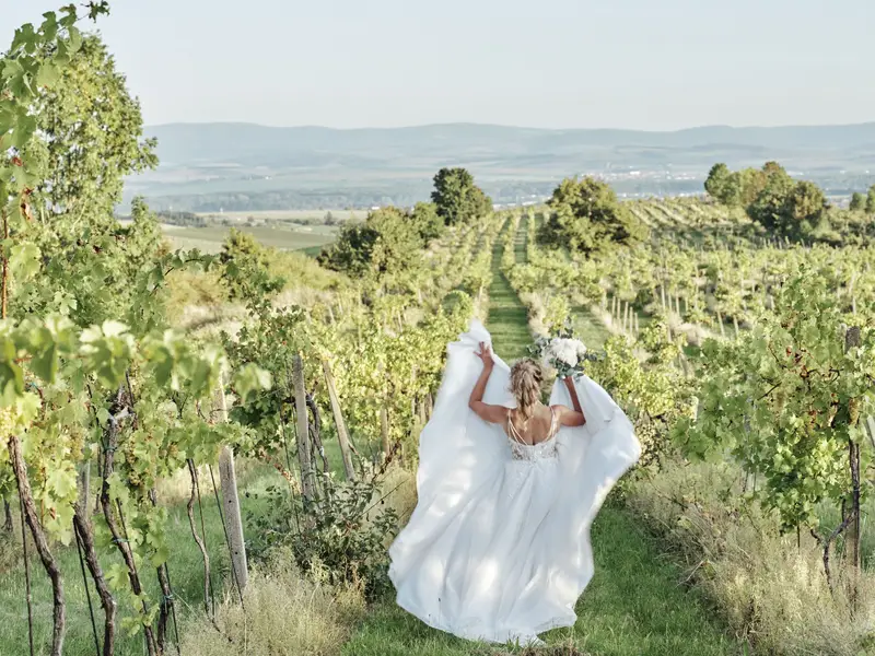 Svatební fotograf - Fotografie č. 2