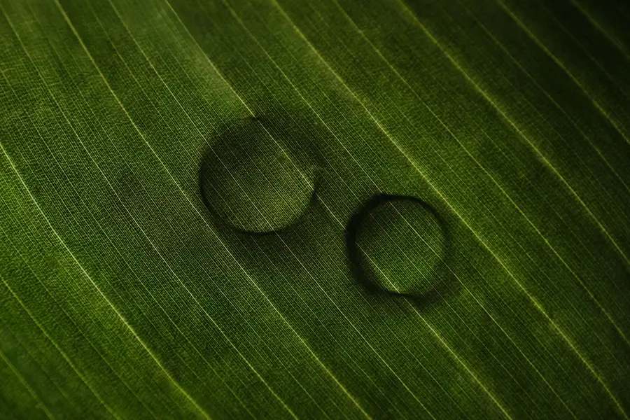 Svatební fotograf - Fotografie č. 20