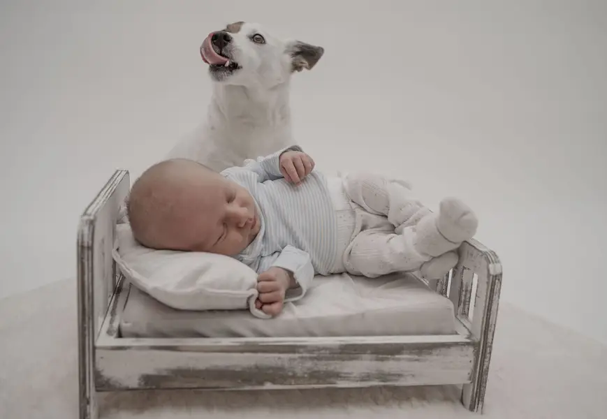 Miminkovské focení, Newborn focení - Fotografie č. 7