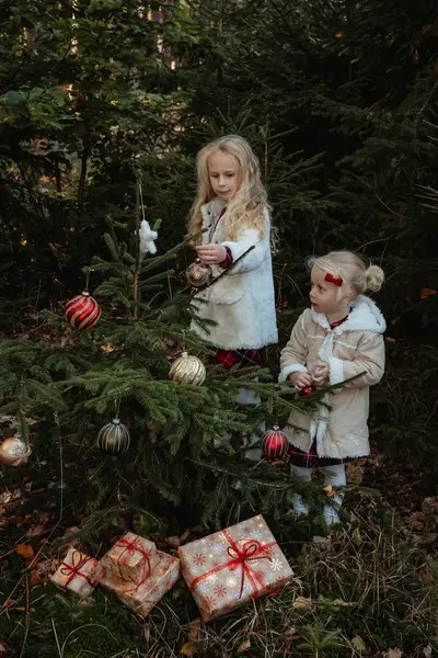 Vánoční focení - Fotografie č. 4