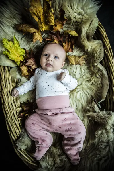 Newborn focení Markéta Jonešová - Fotografie č. 3