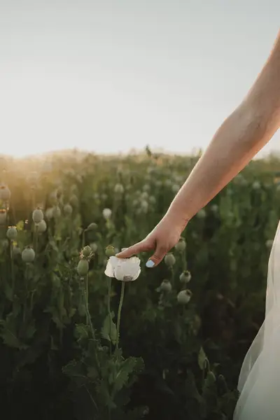 Svatební balíčky, Svatební fotograf - Fotografie č. 7