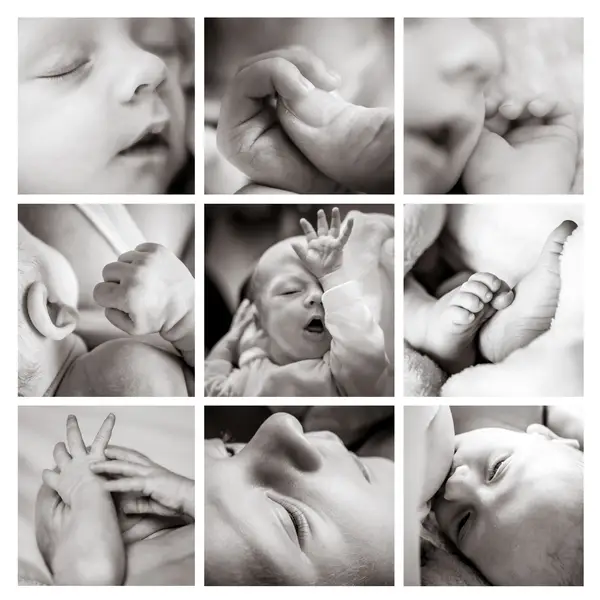 Newborn focení - Fotografie č. 1