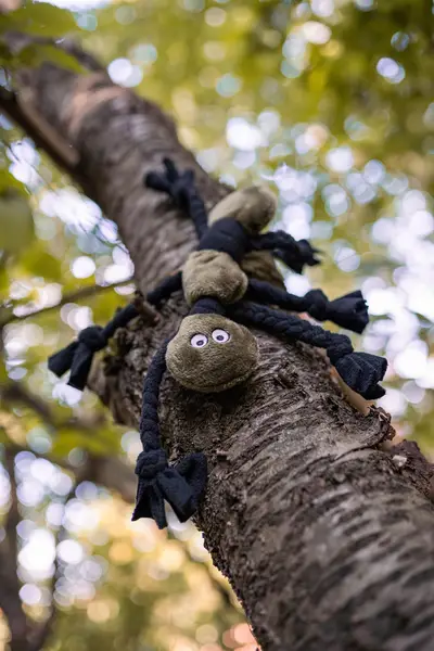 Produktový fotograf Tamika Bydžovská - Fotografie č. 5