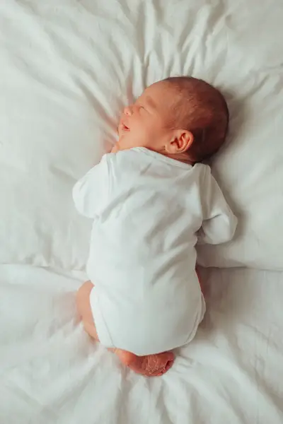 Rodinný fotograf Eva Albrechtová - Fotografie č. 4