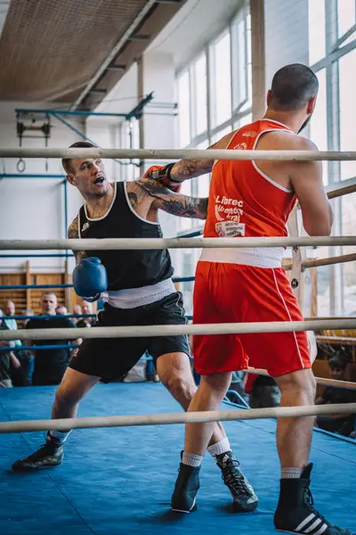 Sportovní fotograf - Fotografie č. 7