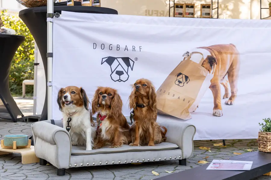 Focení zvířat - Fotografie č. 1