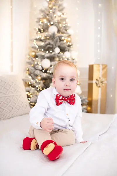 Vánoční focení - Fotografie č. 24