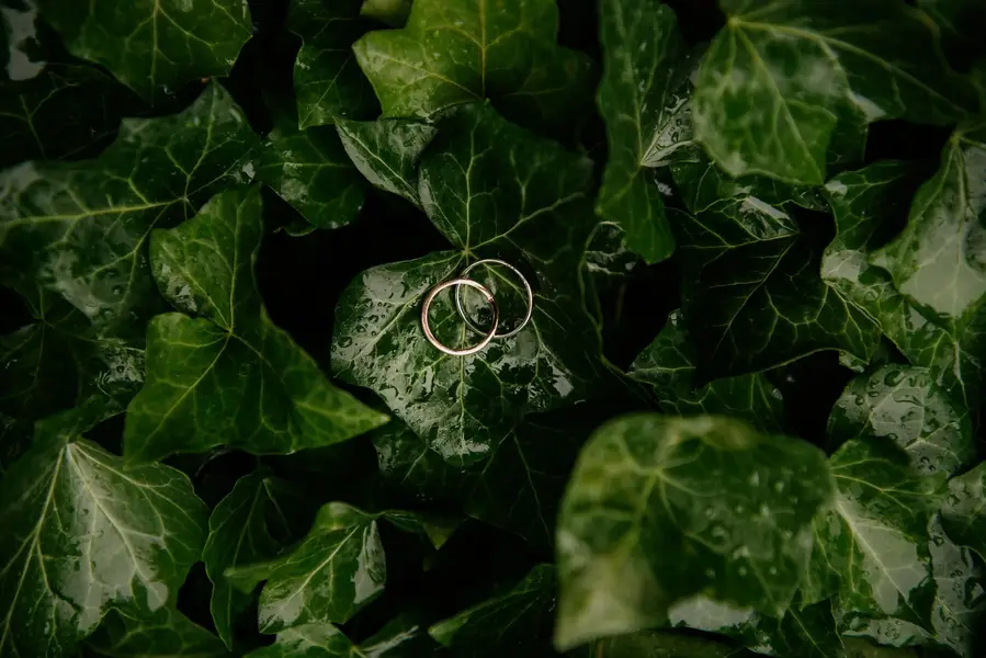 Svatební fotograf Marcela Novotná - Fotografie č. 6