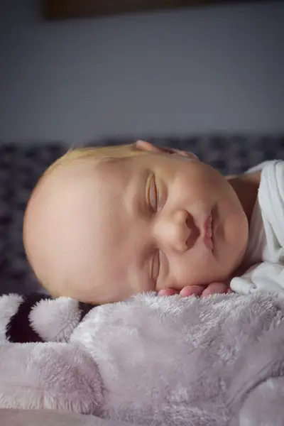 Newborn focení - Fotografie č. 6