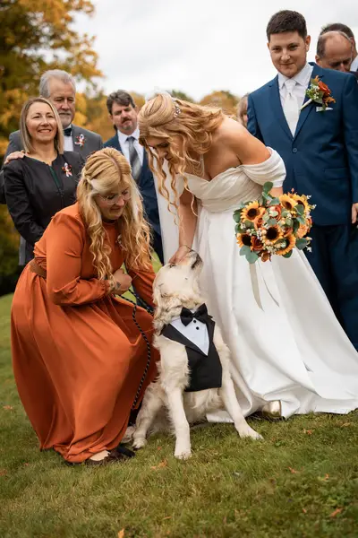 Svatební fotograf - Fotografie č. 2