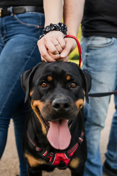 Fotograf párů Oliver Beneš - Fotografie č. 8