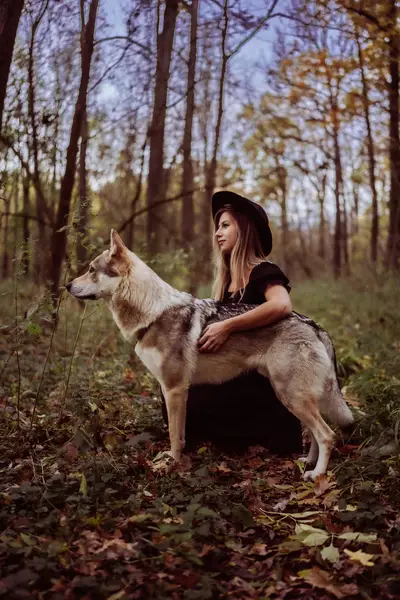 Zvířata a domácí mazlíčci - Fotografie č. 6