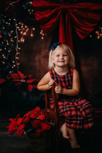 Vánoční focení Irena Bublíková - Fotografie č. 4