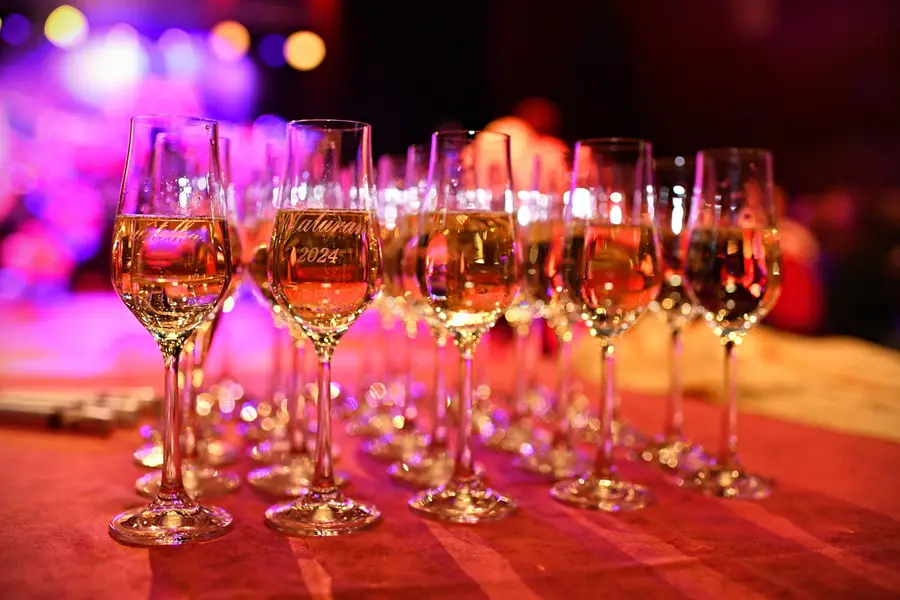 Focení maturitních plesů - Fotografie č. 12