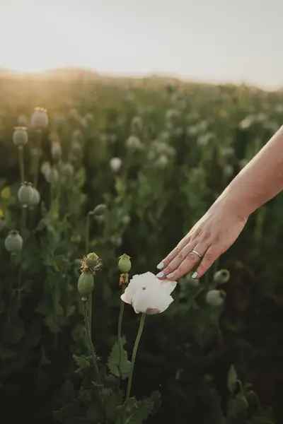 Svatební fotograf Barbora Ludvíková - Fotografie č. 8