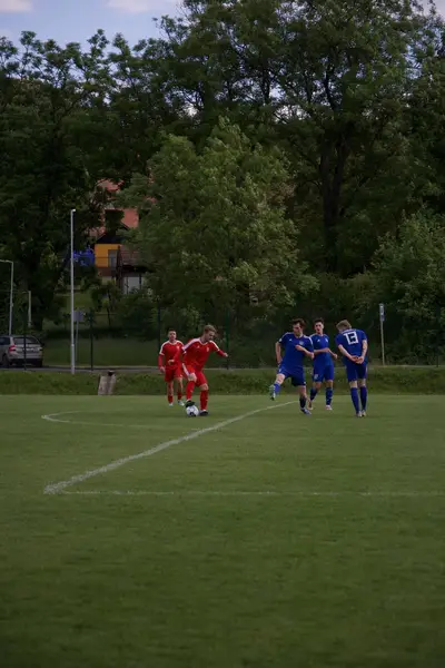 Sportovní fotograf - Fotografie č. 12