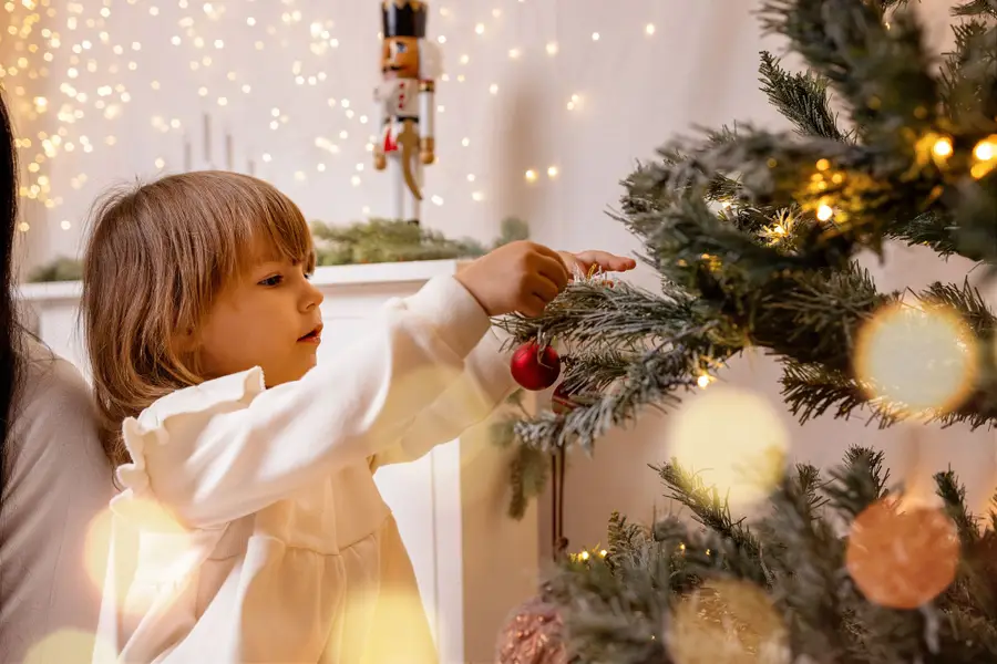 Vánoční mini focení 2026, Vánoční focení - Fotografie č. 5