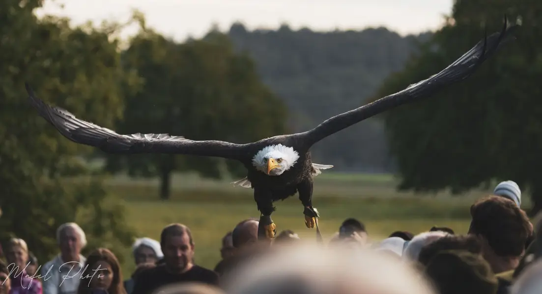 Akce , Festival , párty, Focení eventů a akcí - Fotografie č. 13