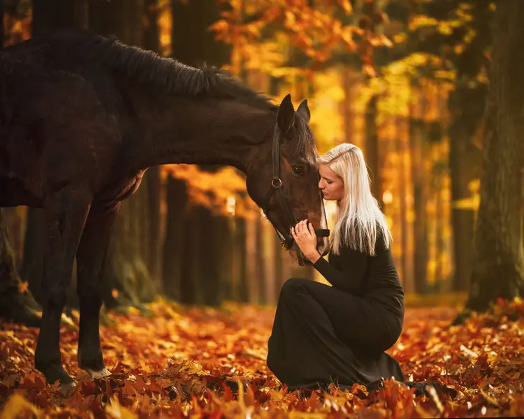 Zvířata a domací mazlíčci, Focení zvířat - Fotografie č. 1