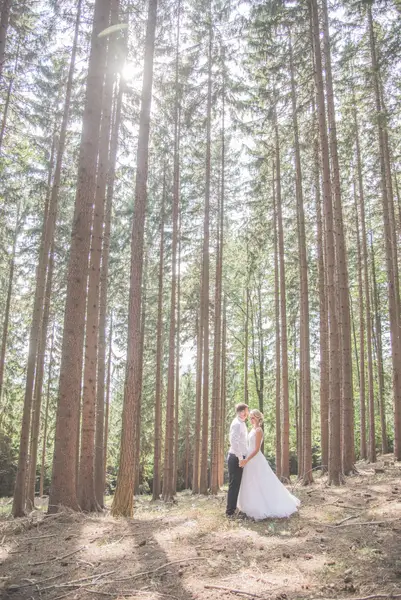 Půldenní svatební focení , Půldenní focení - Fotografie č. 4