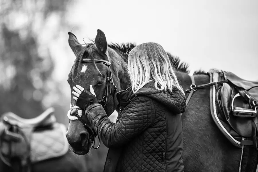 Zvířata a domácí mazlíčci , Focení zvířat - Fotografie č. 10