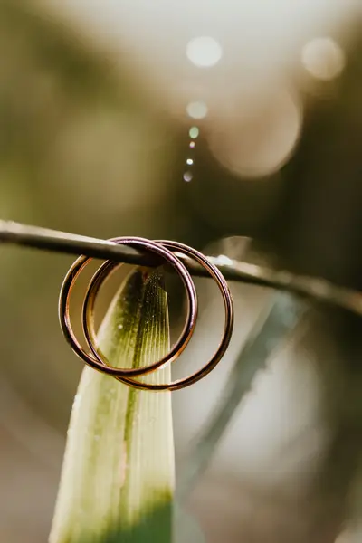 I s dortem, Půldenní focení - Fotografie č. 8