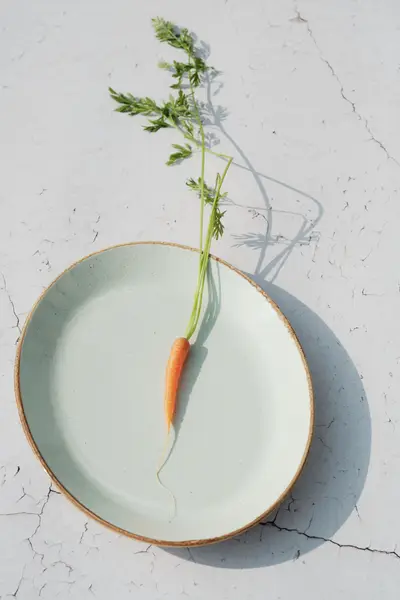 Gastro fotografie & Food styling, Reklamní fotograf - Fotografie č. 13