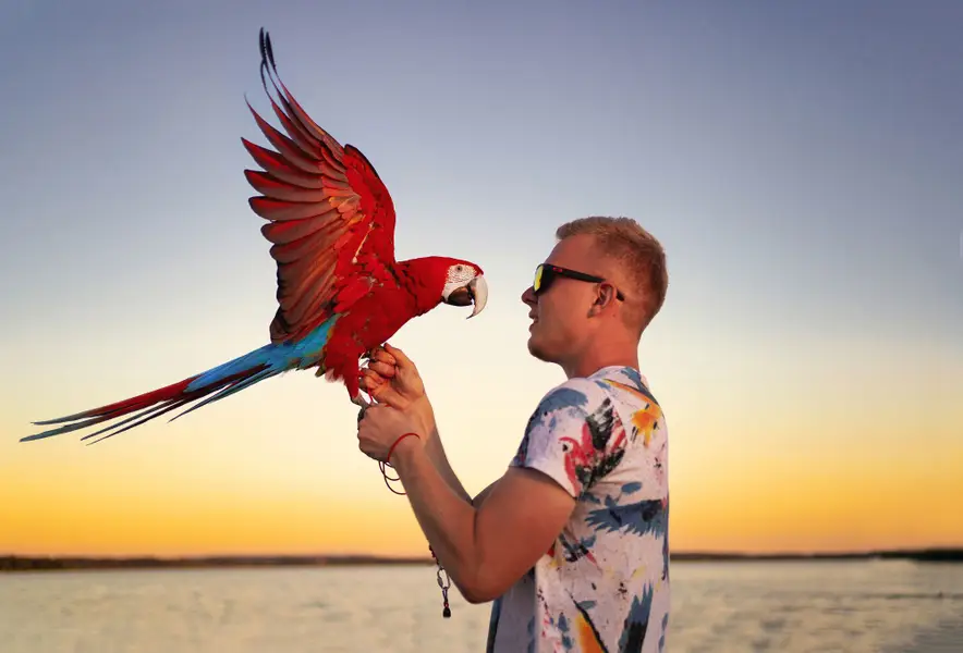 Zvířata a domací mazlíčci, Focení zvířat - Fotografie č. 22