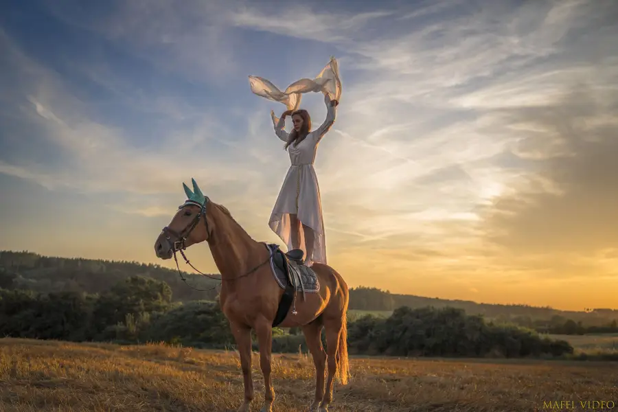 Zvířata a domací mazlíčci, Focení zvířat - Fotografie č. 25