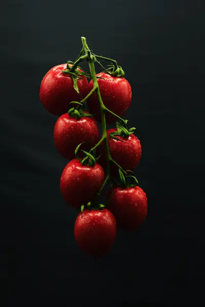 Gastro fotografie & Food styling, Reklamní fotograf - Fotografie č. 18