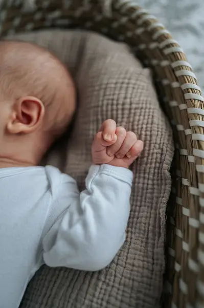 Těhotenské focení+miminko, Těhotenské focení - Fotografie č. 2