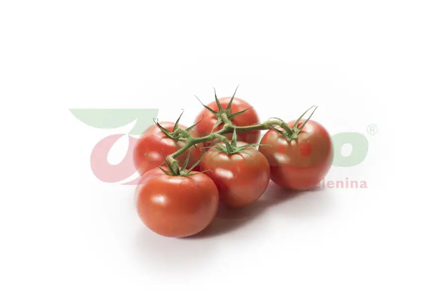 Produktový fotograf - Fotografie č. 3