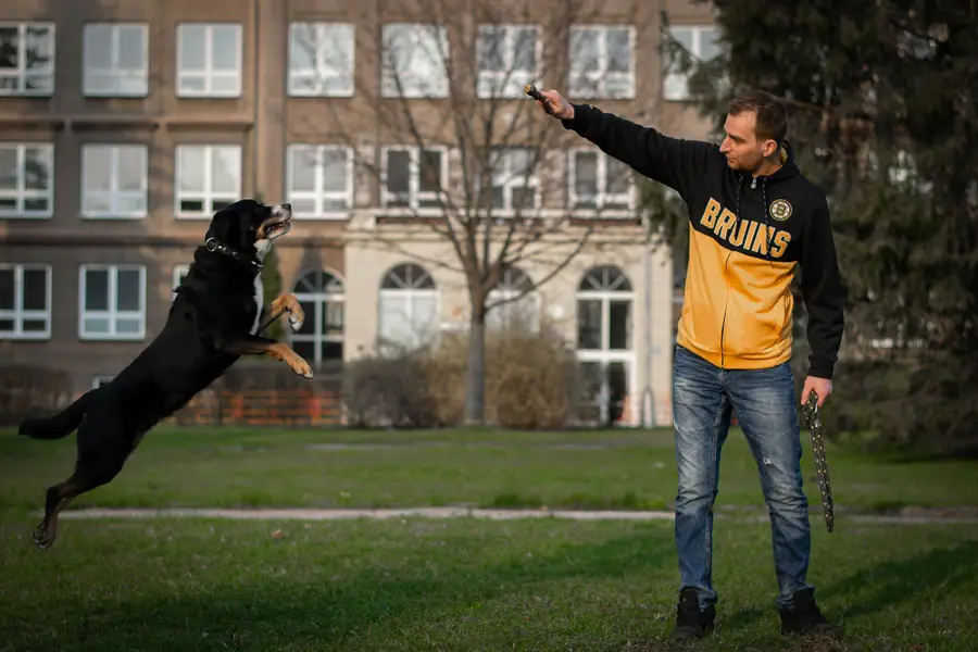 Focení zvířat Michal Hadrava - Fotografie č. 5