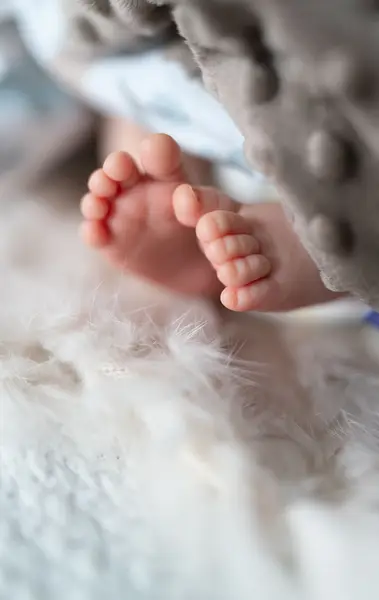 Newborn focení Maria Beláková - Fotografie č. 5